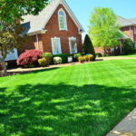 Landscaping Services